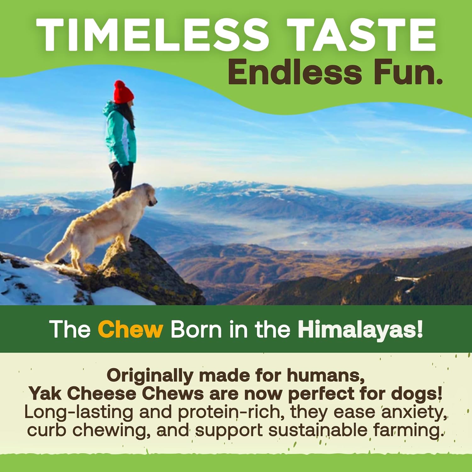 🐶 Friandises Naturelles au Fromage de Yak — Petits Chiens